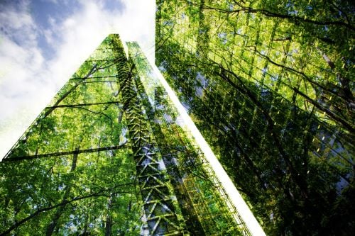 Green business_1975731365 V3 Green business_1975731365 V3